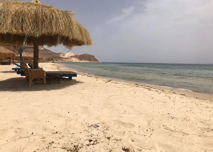 Viva La Vida Beach Camp